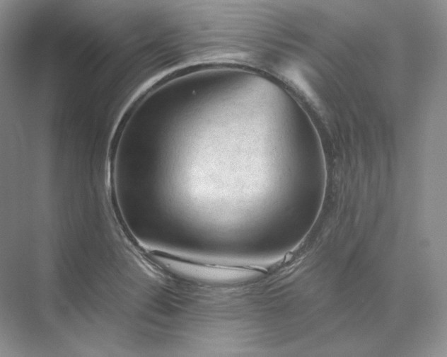 X0000075871324200609291604