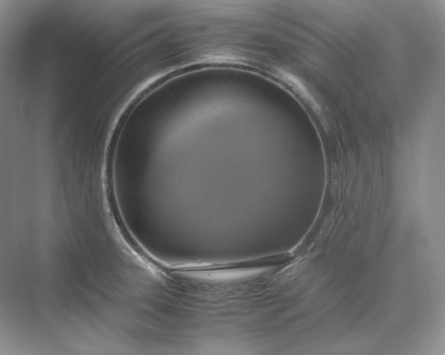 X0000075871331200609291604