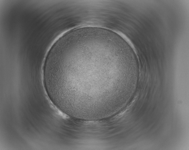 X0000075871341200609291604
