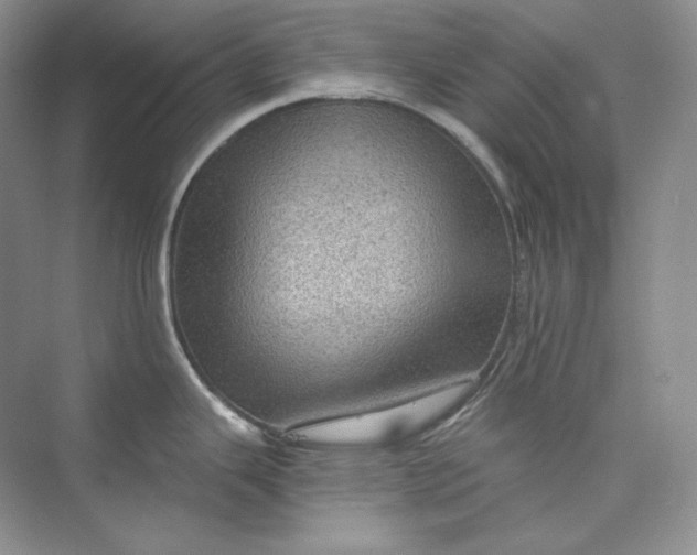 X0000075871343200609291604