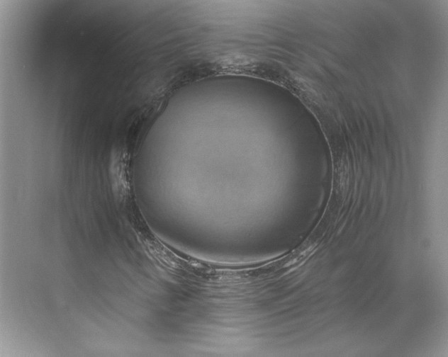 X0000075871346200609291603