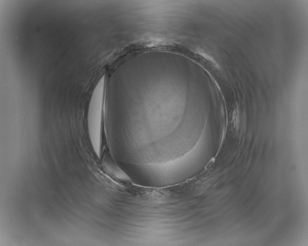 X0000075871348200609291603