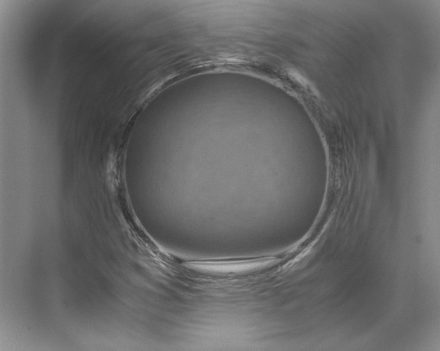X0000075871353200609291603