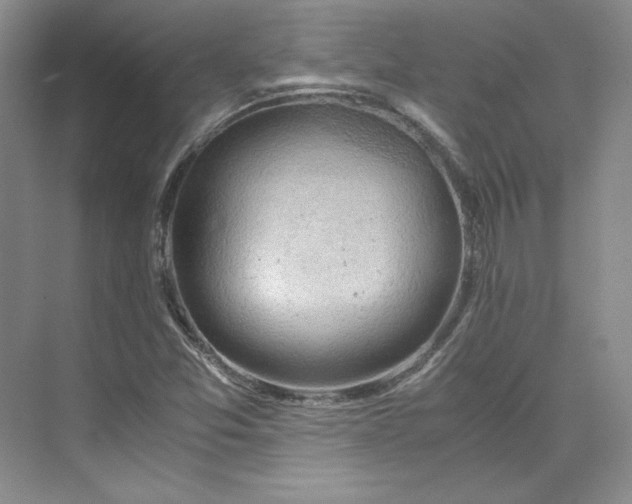 X0000075871357200609291603
