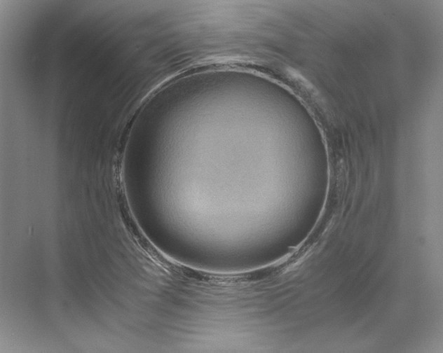 X0000075871361200609291603