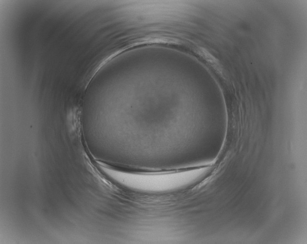X0000075871369200609291603