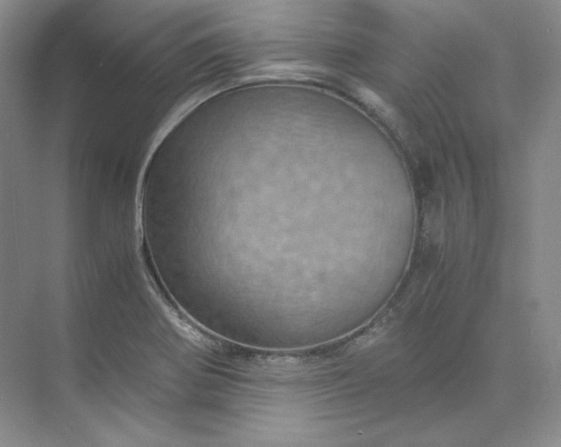 X0000075871370200609291603
