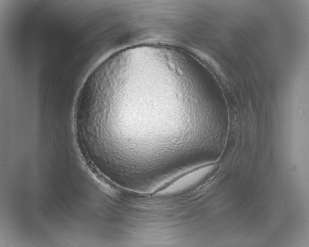 X0000075871375200609291603