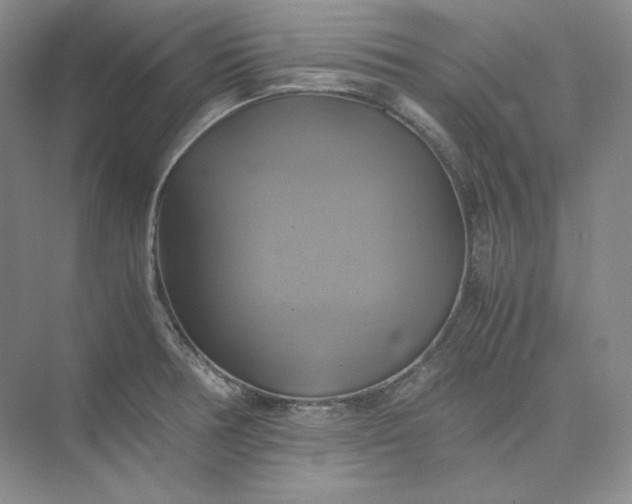 X0000075871378200609291602