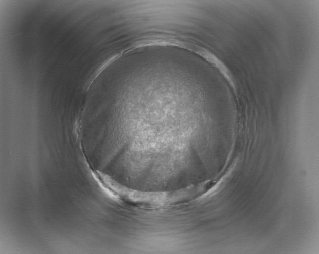 X0000075871385200609291602