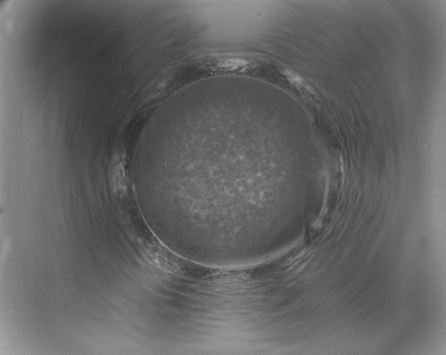 X0000075871394200609291601