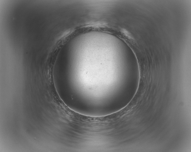 X0000075871398200609291602