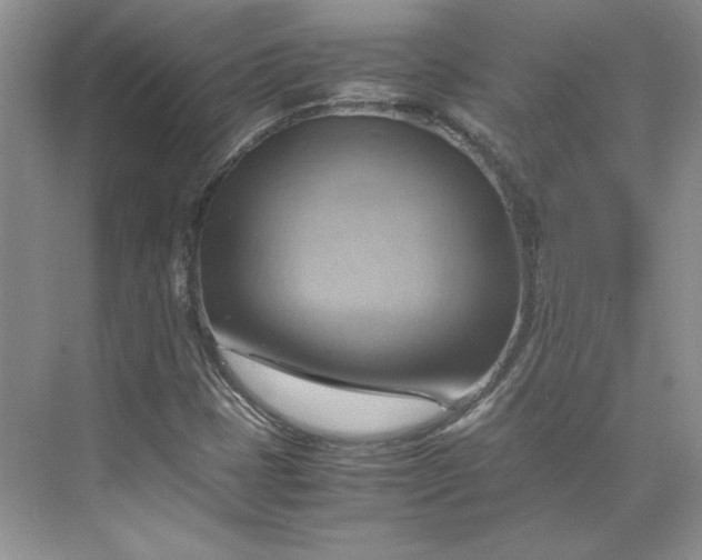 X0000075871401200609291602