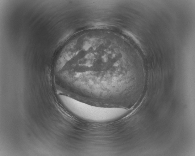 X0000075871403200609291602