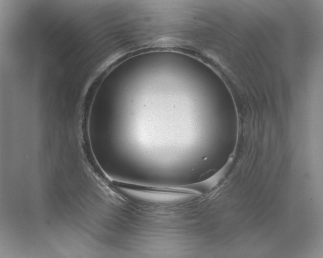 X0000075871410200609291602