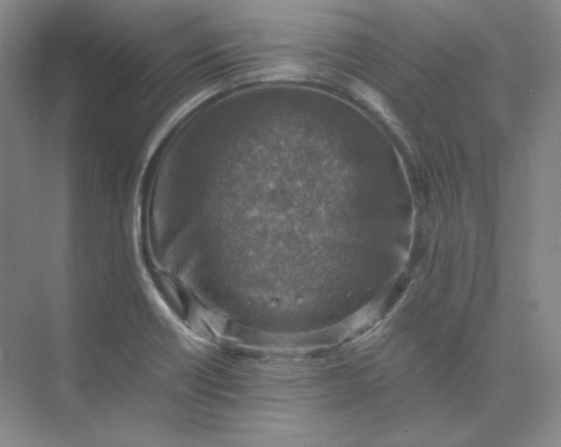 X0000075871418200609291602