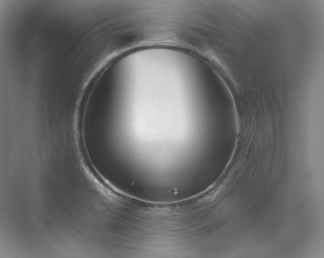 X0000075871422200609291602