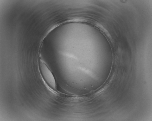 X0000075871425200609291602
