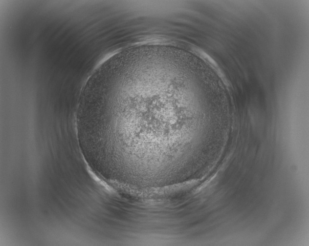 X0000075871433200609291602