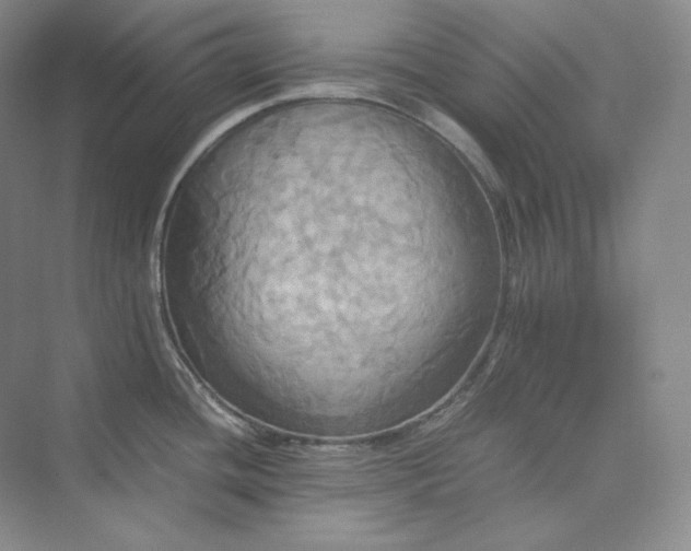X0000075871436200609291602