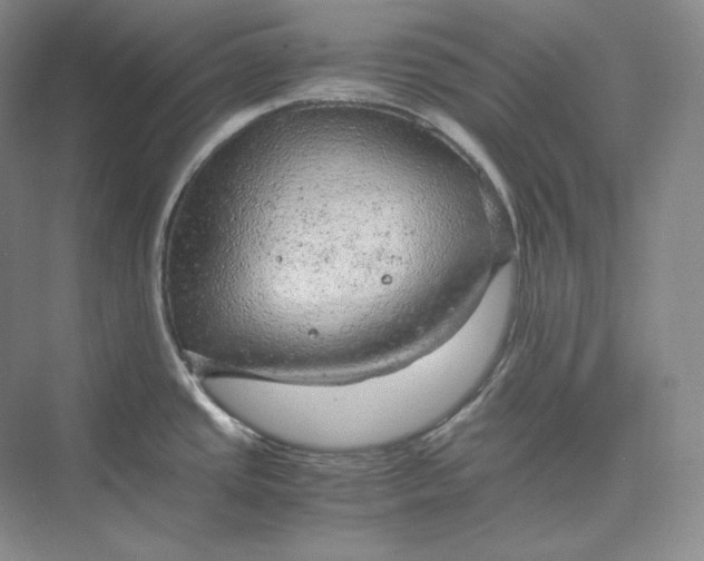 X0000075871437200609291602