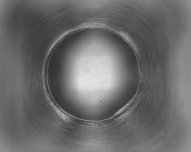 X0000075871438200609291602