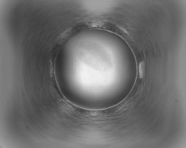 X0000075871443200609291601