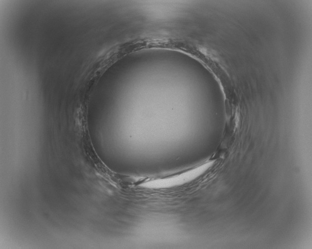 X0000075871445200609291601