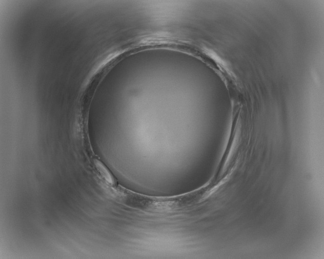 X0000075871453200609291601