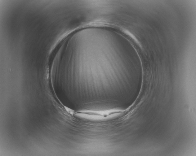 X0000075871461200609291601