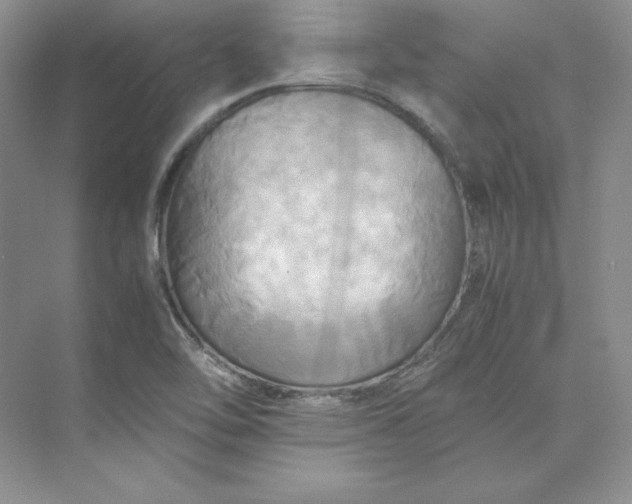 X0000075871462200609291601
