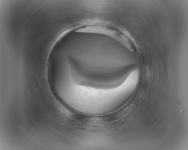 X0000075871463200609291601