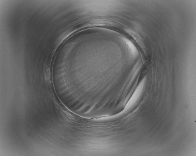 X0000075871465200609291601