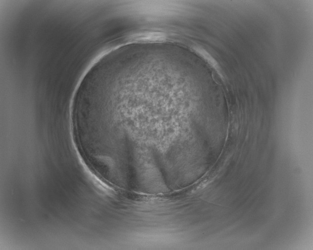 X0000075871475200609291601