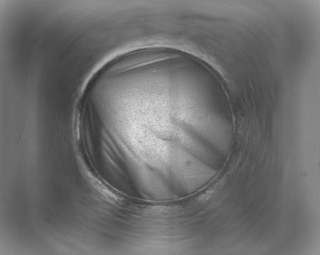 X0000075871510200609291600