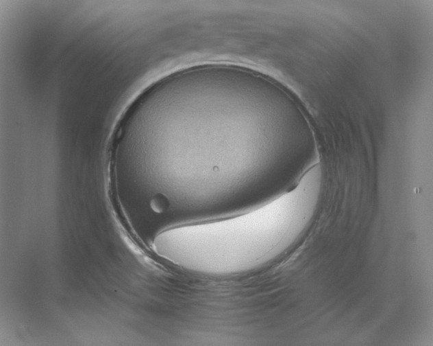 X0000075871511200609291600