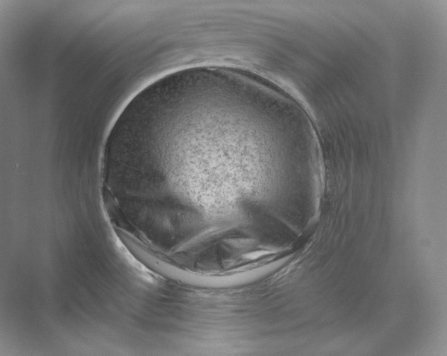 X0000075871532200609291601