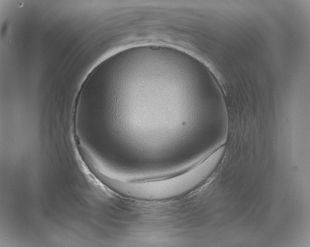 X0000075871534200609291601