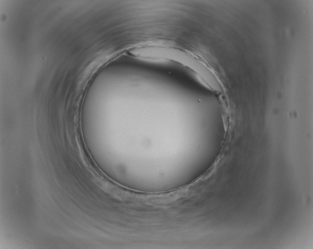 X0000075870001200610062014