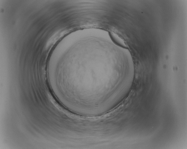 X0000075870002200610062014