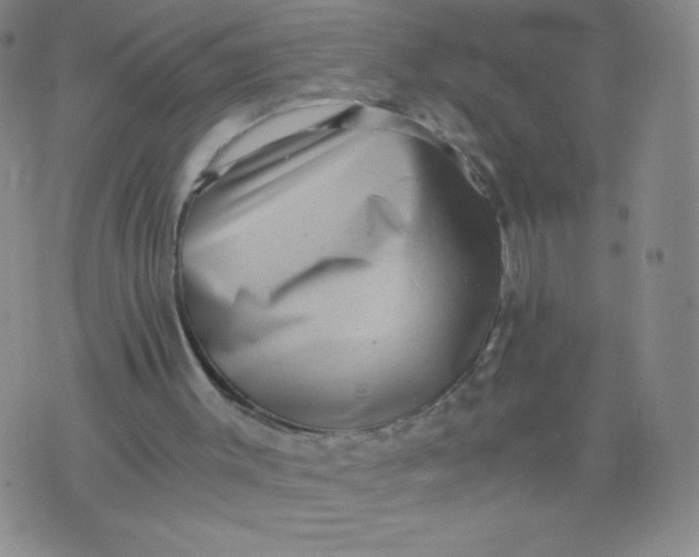 X0000075870003200610062014