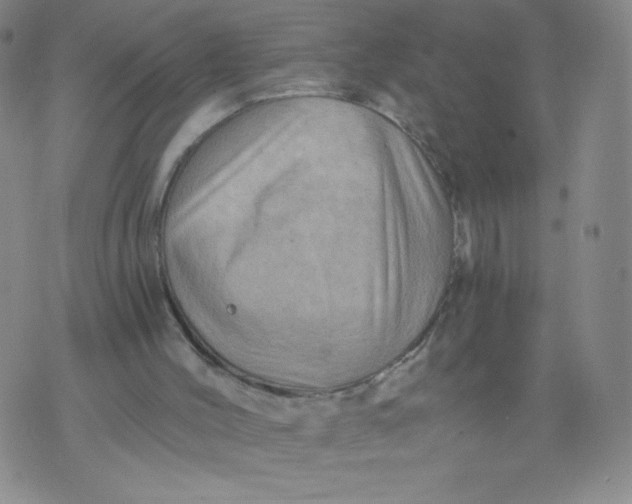 X0000075870004200610062014