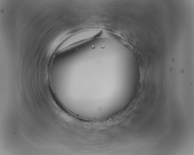 X0000075870005200610062014