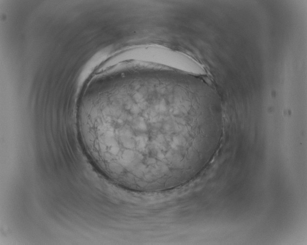 X0000075870006200610062014