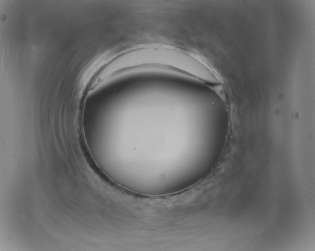 X0000075870007200610062014