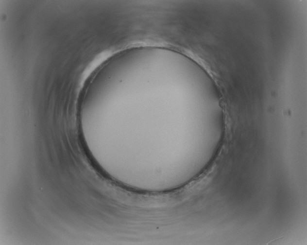 X0000075870008200610062014