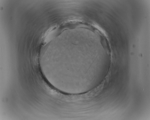 X0000075870009200610062014