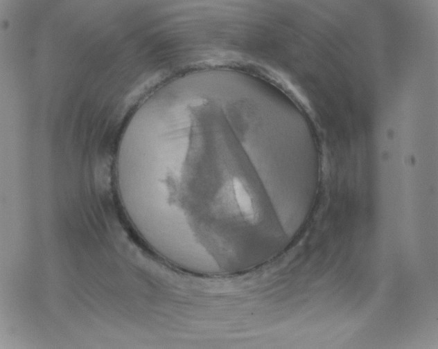 X0000075870010200610062014