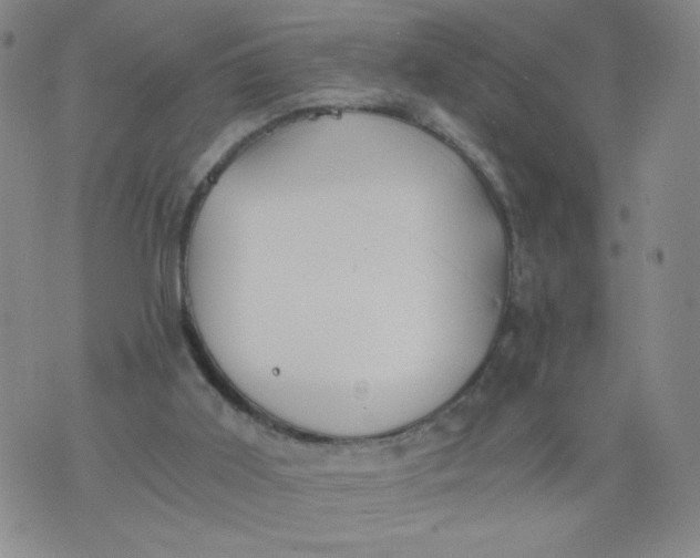 X0000075870011200610062014