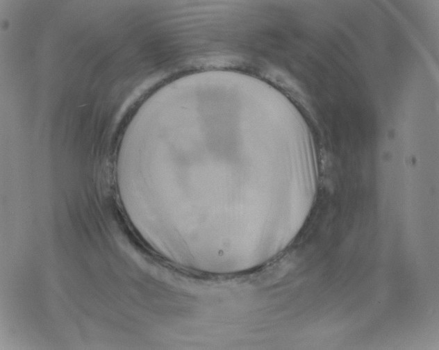 X0000075870012200610062014